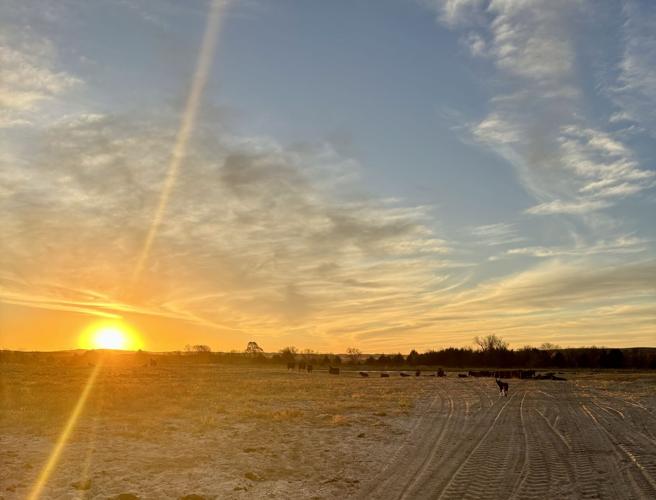 Sandhills Sunrise (5).jpg