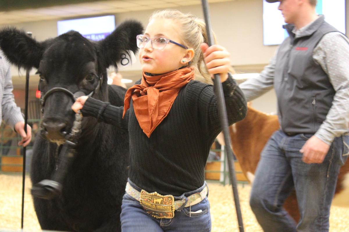 WWFS Supreme Row (14).JPG