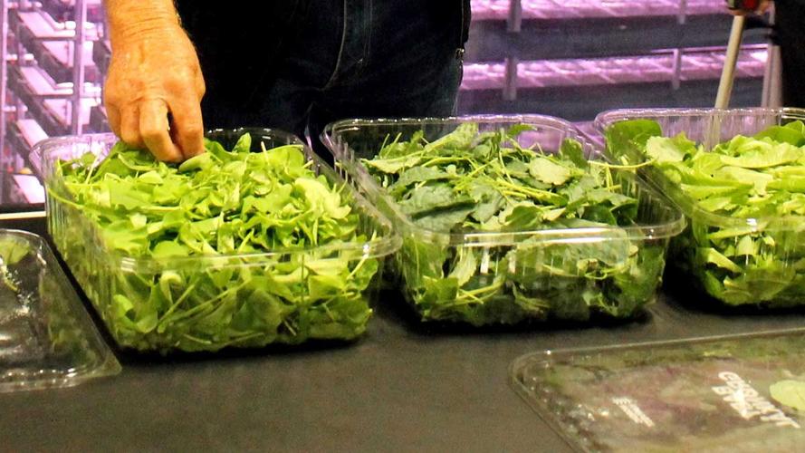 Close-up--touching-greens