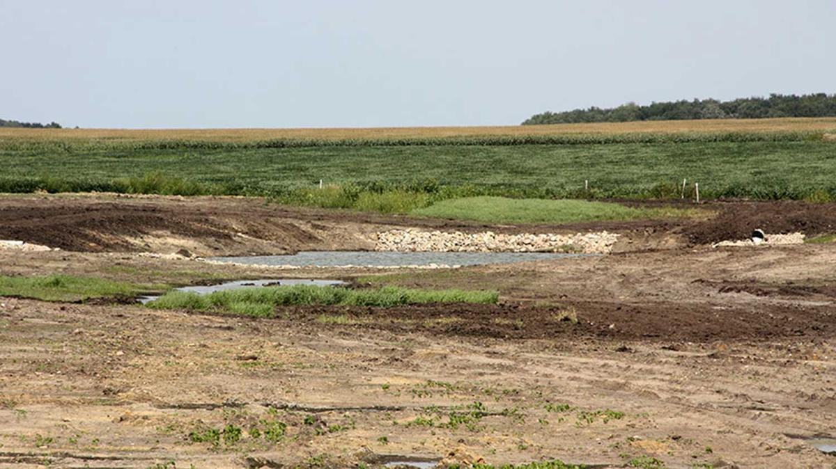 Conservation funding  wetlands
