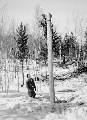 Telephone line construction