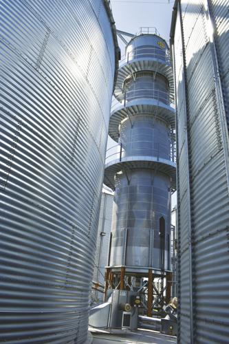 Grain Storage (23) worked.jpg