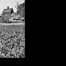 Remembering Our Rural Roots