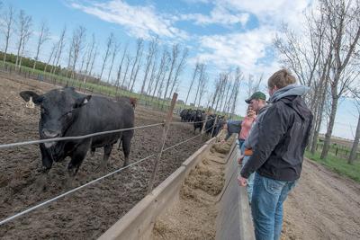Kirkwood Community College’s ag program