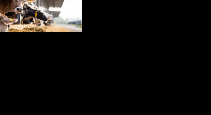 Use key performance indicators