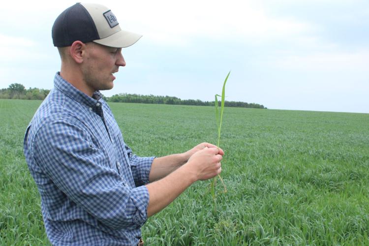 Dairy Nutrition (73).JPG