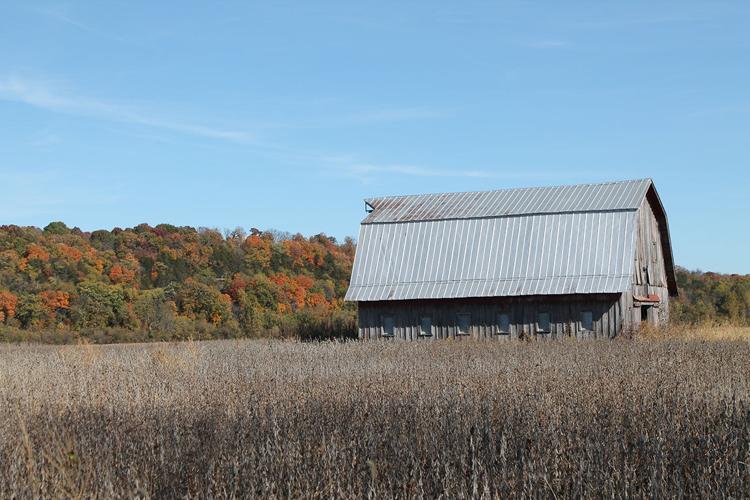 Boone County barn 3