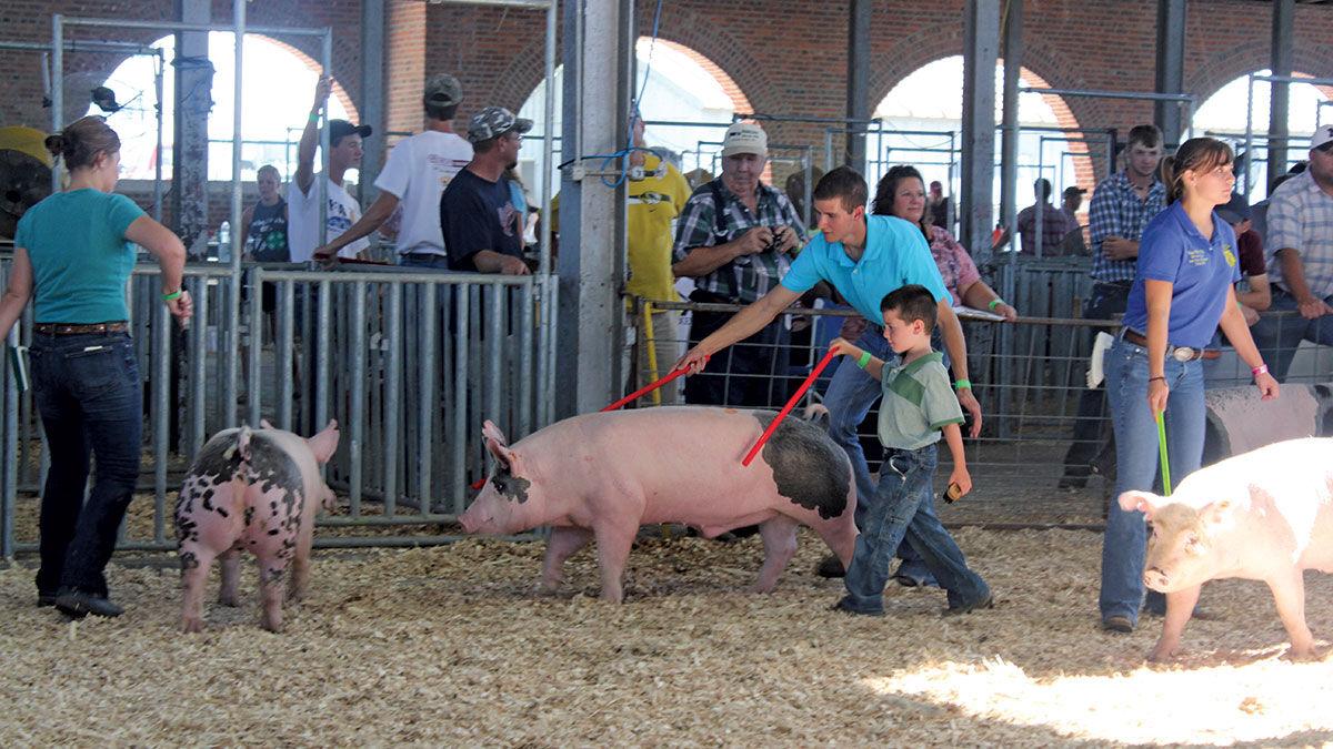 Missouri State Fair continues with livestock, 4H exhibitions