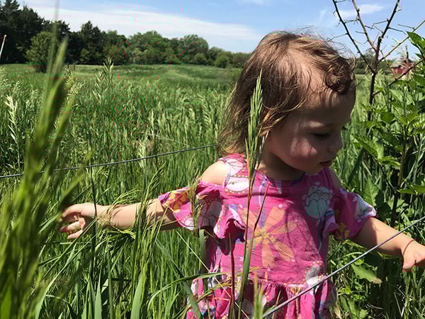 Barreras child pasture