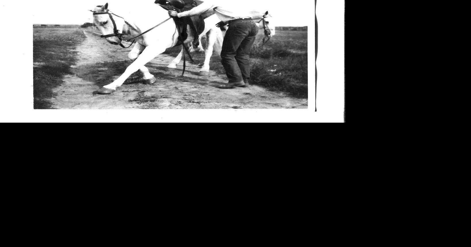 Cattle and horses: Late rancher excelled at both
