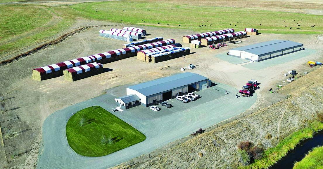 Montana Premium Forage produces value-added hay products
