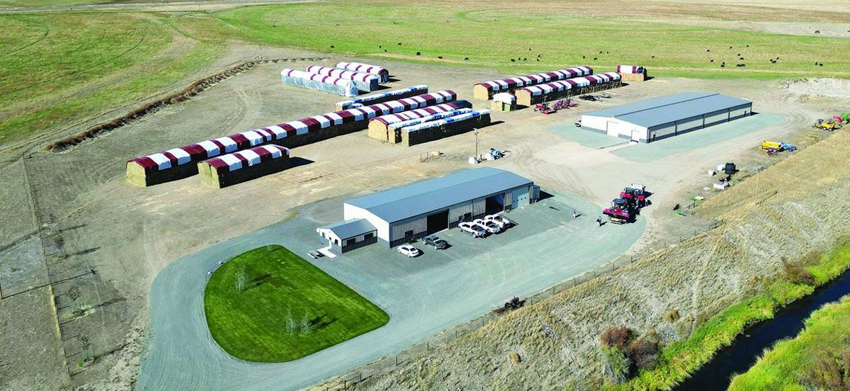 Montana Premium Forage