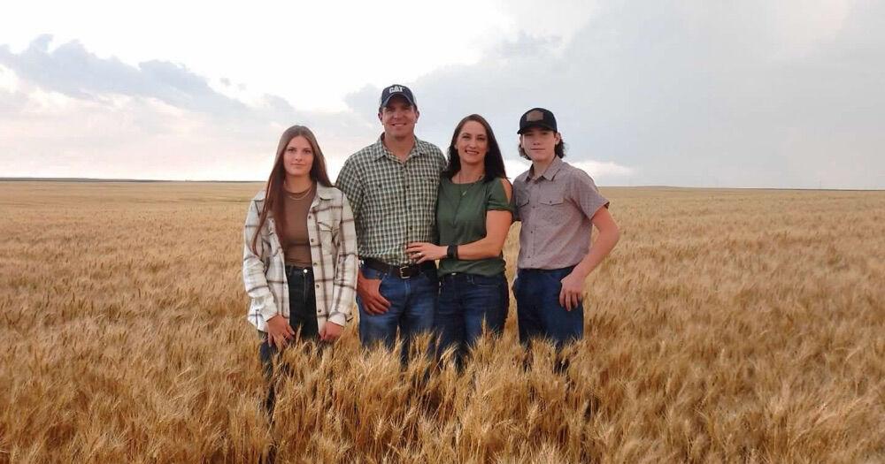 Bocks finish harvesting peas, begin cutting spring wheat