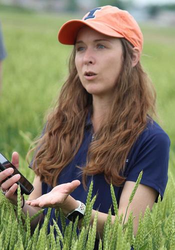 University of Illinois wheat breeder Jessica Rutkoski