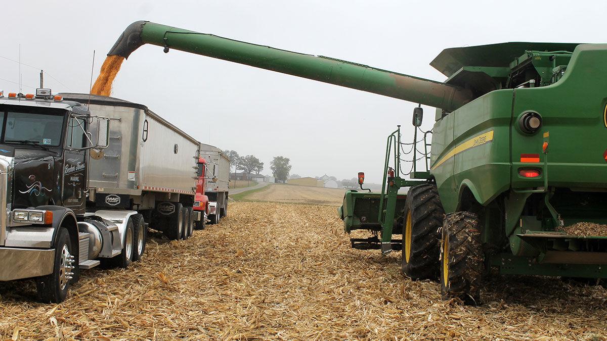 Harvest - Combine loading into truck