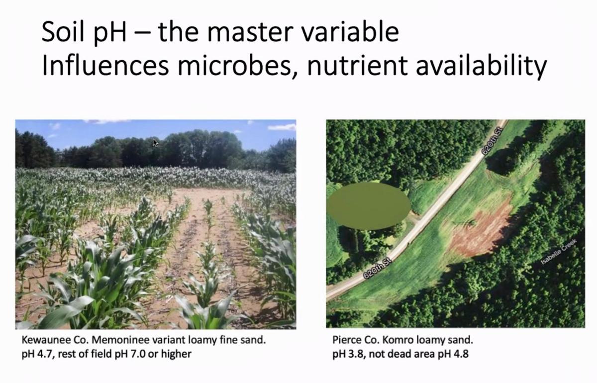 Soil pH -- the master variable