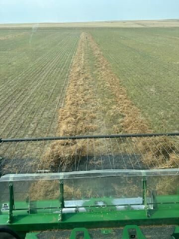 2024 harvest season a ‘whirlwind’ for John Wicks