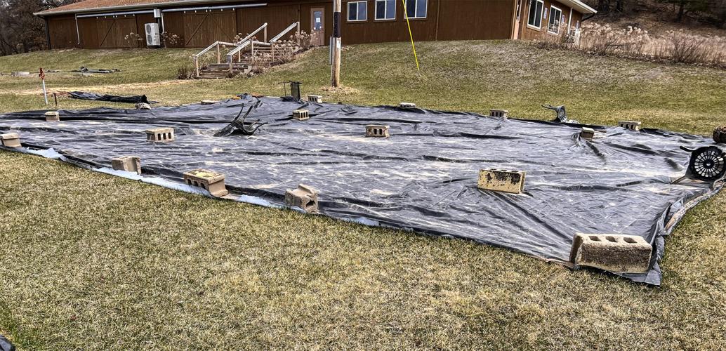 Tarp
