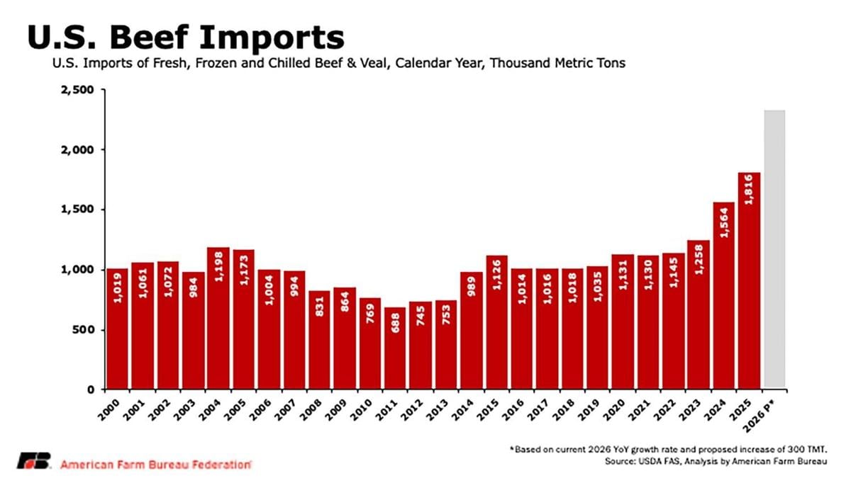 Beef imports