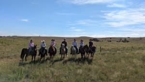 Stockmanship clinic PIC 0928ncta