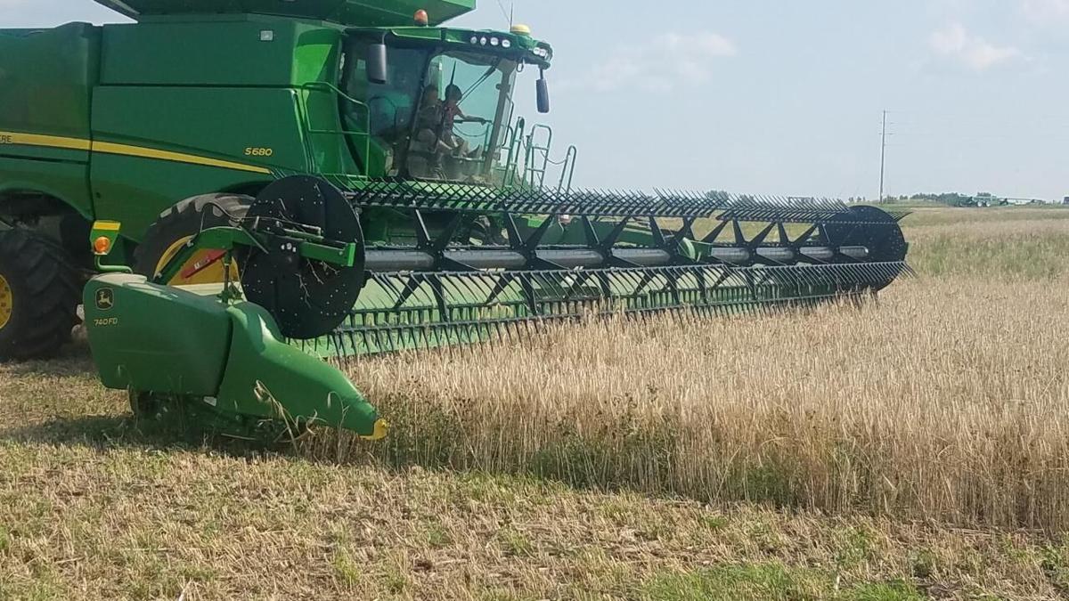 AJ Krusemark Triticale Harvest 2021