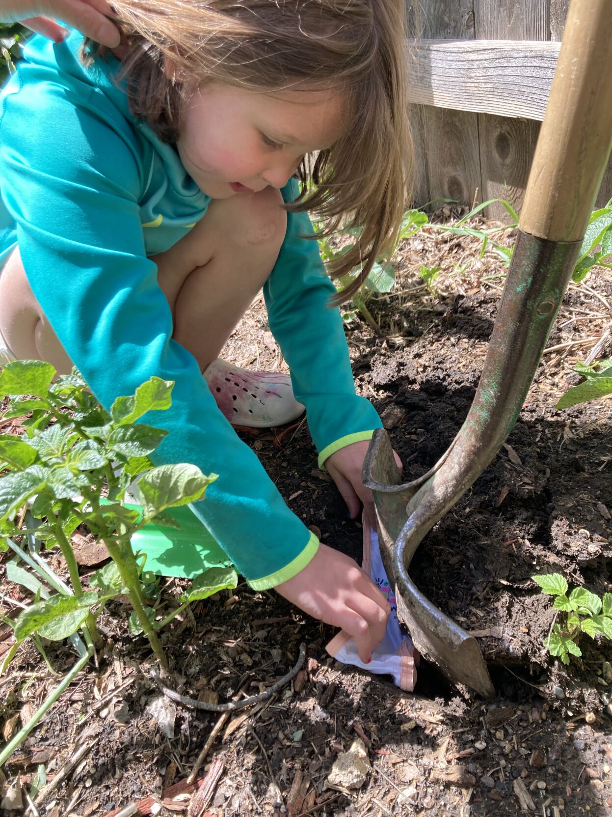 Soil your undies (57).JPG