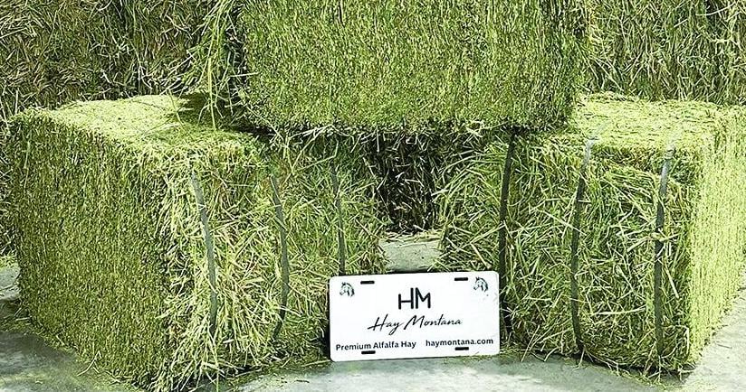 Hay Montana offers horse quality hay in a convenient package