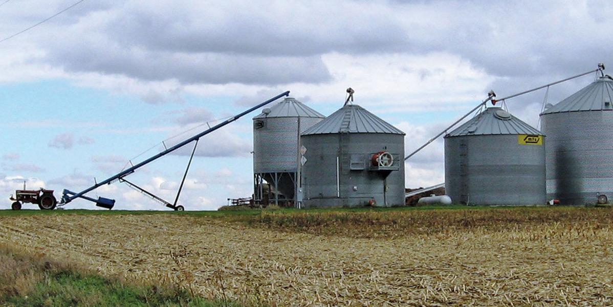 Grain storage