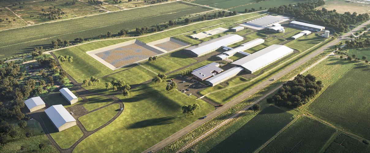 U.S. Dairy Forage Research Center campus rendering