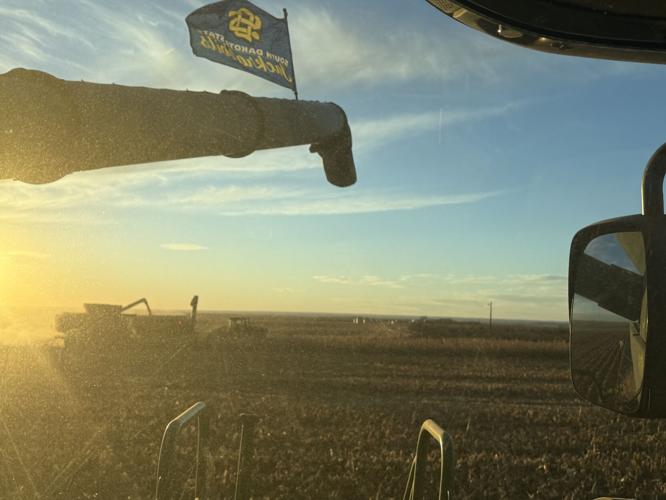 CW Holzwarth (2).jpg