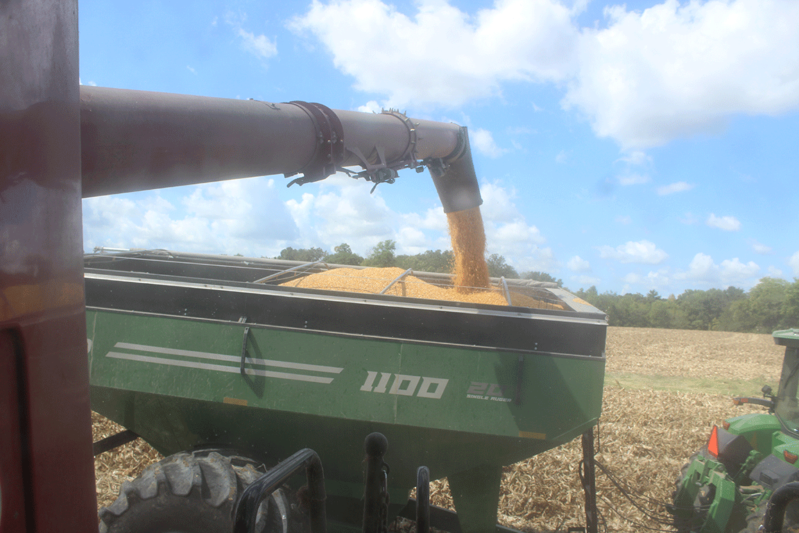 grain wagon corn