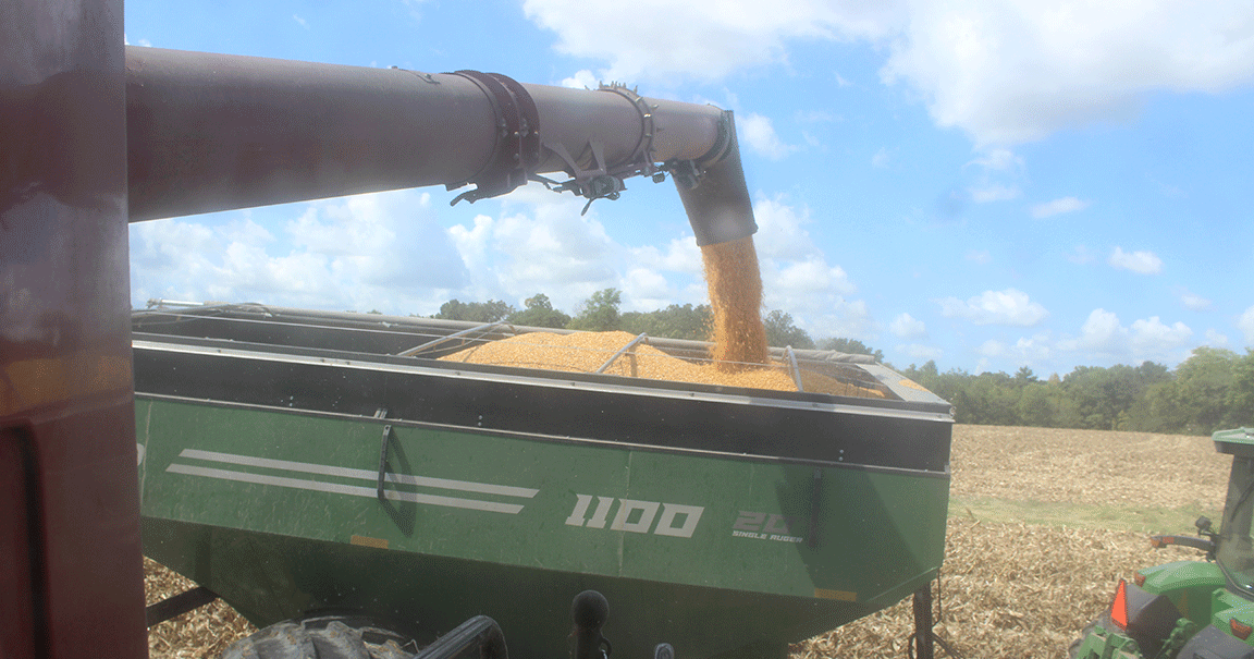 grain wagon corn