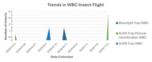 Trends in WBC Insect Flight