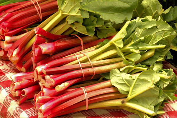 Rhubarb Dessert