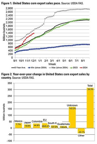 U.S. corn exports