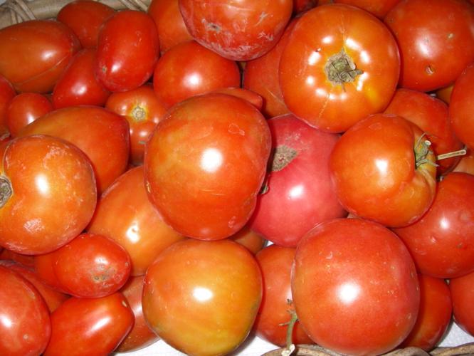 Tomatoes