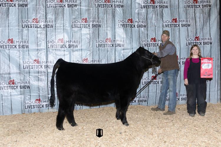 Reserve Champion Angus Female.jpg