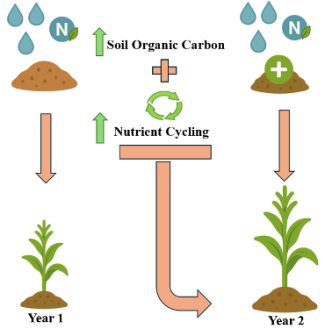 Soil Organic Carbon graphic