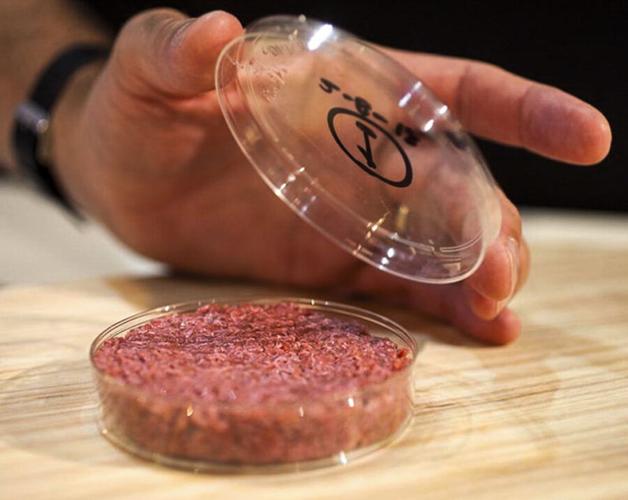 Cultured meat in petri dish