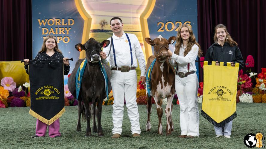 Supreme Heifer of Junior Show