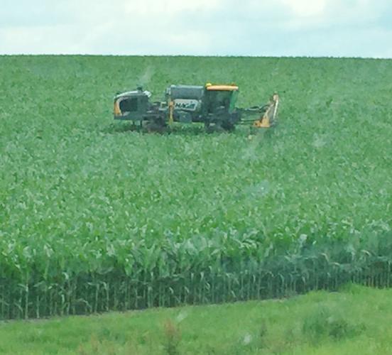 Corn yields on Sylling land consistently increase