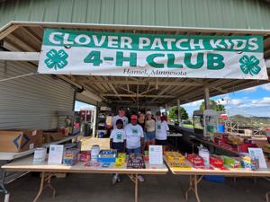 7 cloverpatch 4h hamel 25 (2).jpg