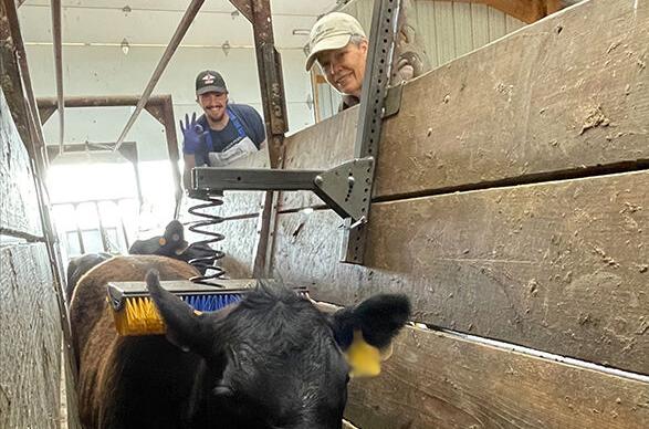Cattle brush prototype