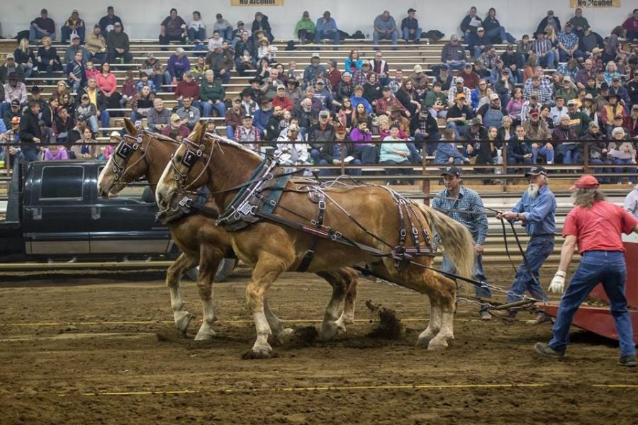 North Dakota Winter Show set for Feb. 29