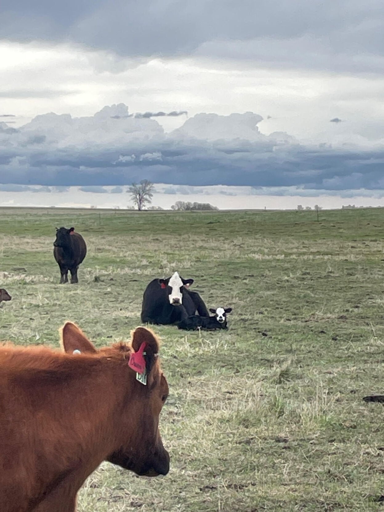 CW Eitemiller (65).jpg