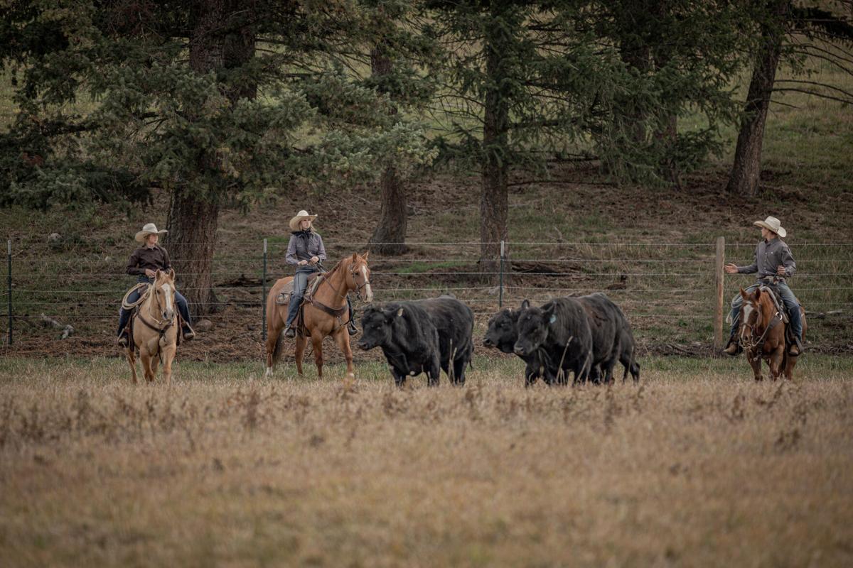 Producers Gathering Cattle.jpg