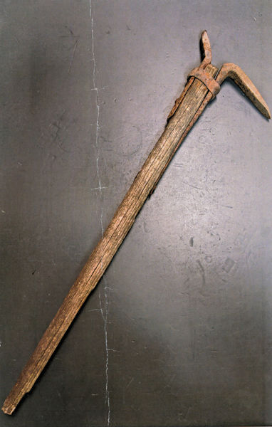 Blaser clue