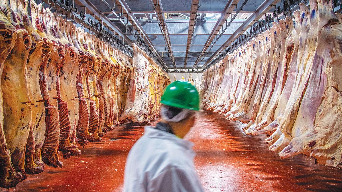 Meat demand USDA inspector