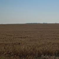 Kitzman, other board members, prepare for Farm Bureau conference in January
