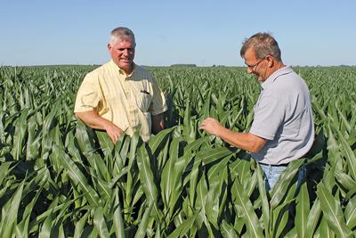 Certified Crop Adviser